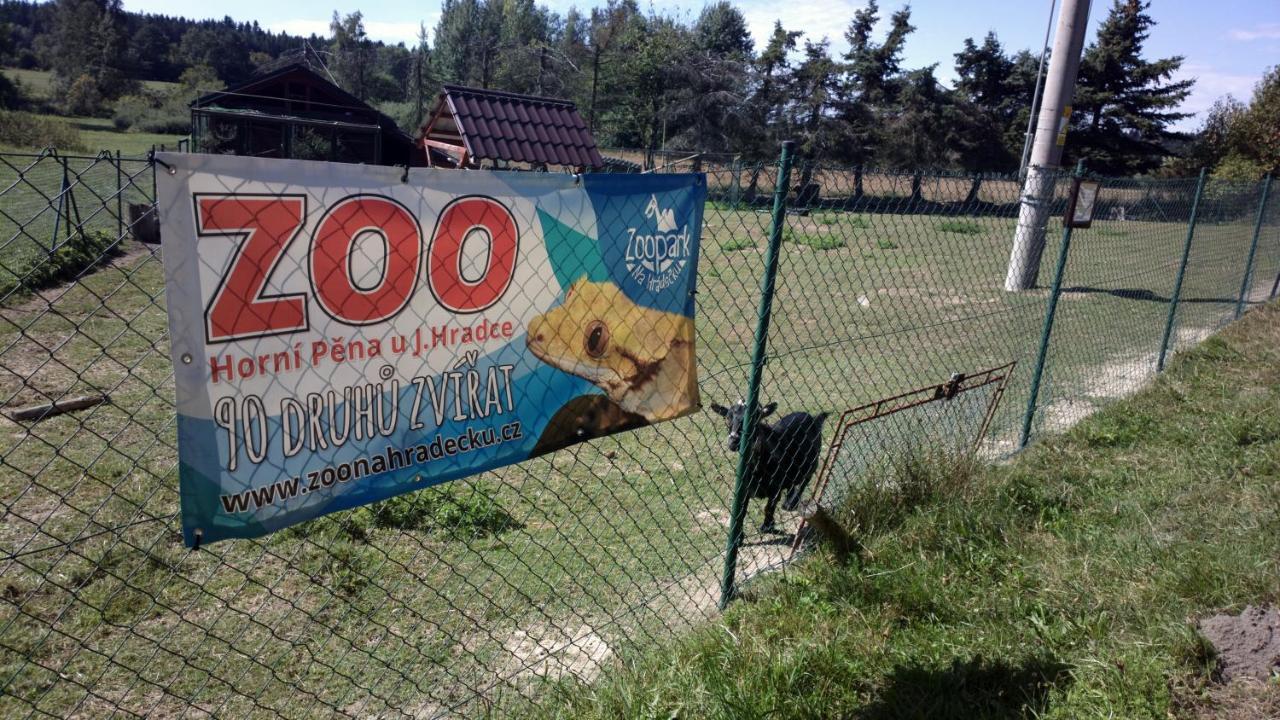 Penzion Lada Nová Bystřice Zewnętrze zdjęcie